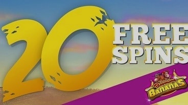 Spinaru casino no deposit bonus coupons