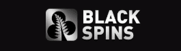 BlackSpins Casino logo