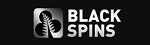 blackspins-smallest-logo